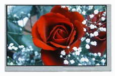 Displaymodul mit 7-Zoll-LCD